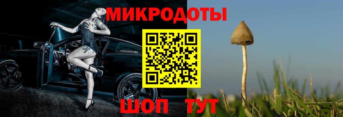 Галлюциногенные грибы прущие грибы Железноводск